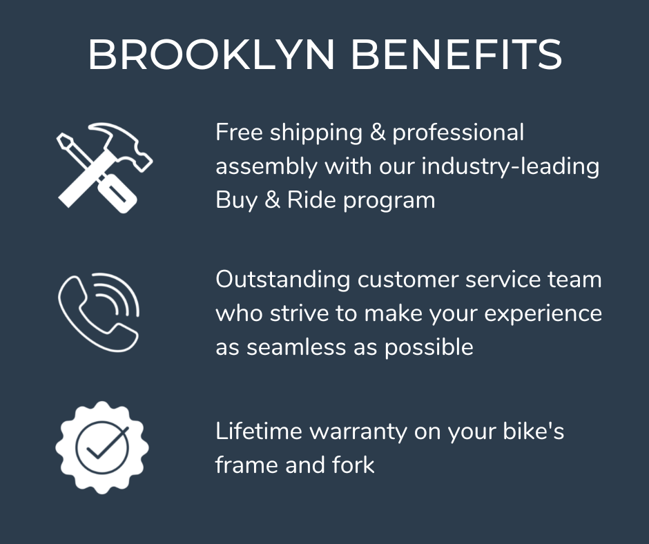 Franklin 8 Speed 8 Speed Step Through Bicycle | Franklin Eight City Cruiser